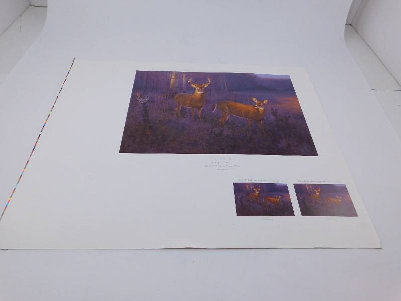 lot 17 image: Courting Disaster by Hayden Lambson