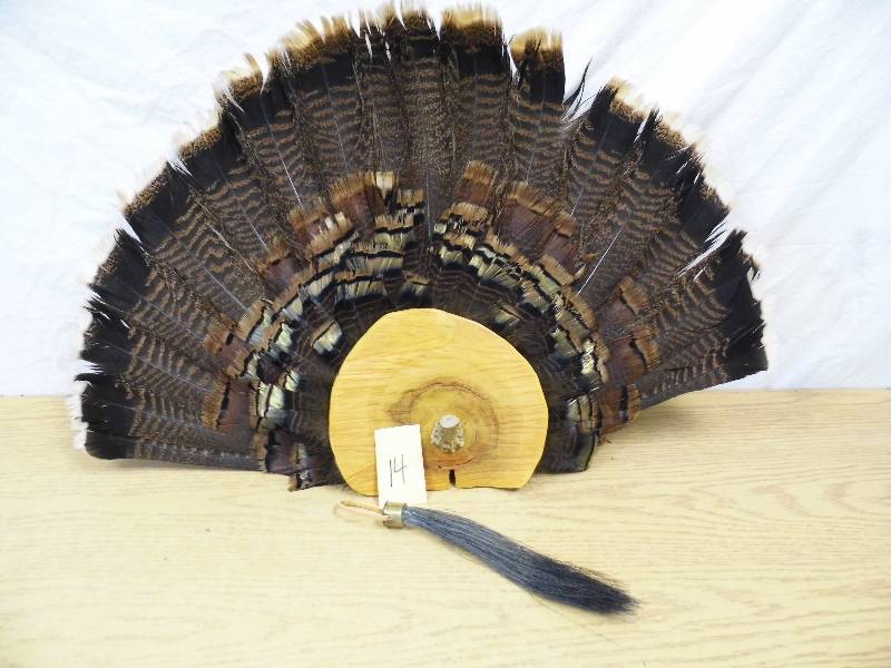 Turkey Feather Fan Mount