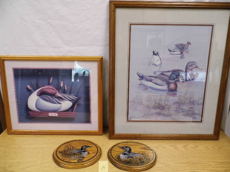 Waterfowl Pictures
