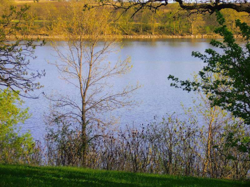 Relax & Recreate On Your Alexandria Area Long Lake Property