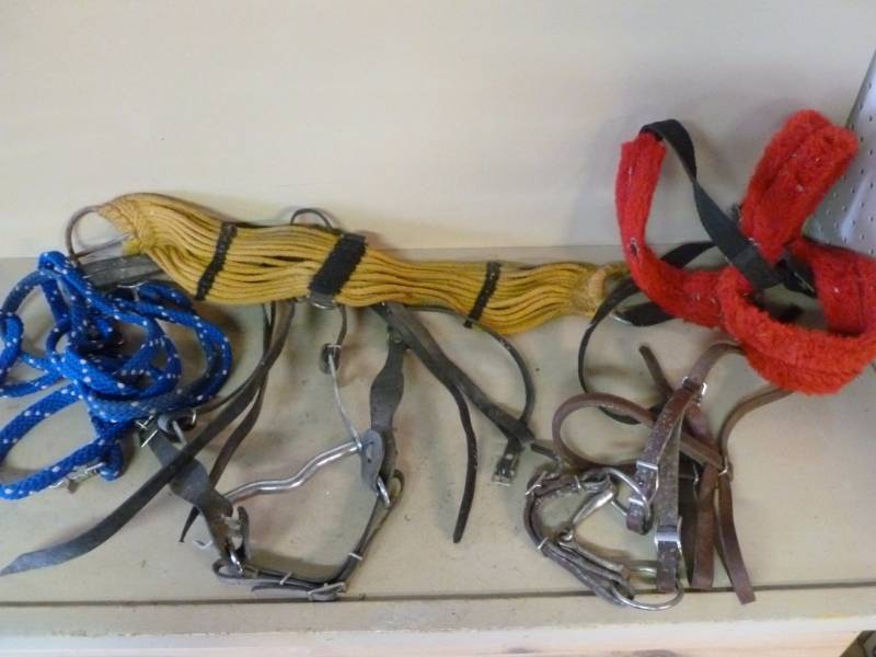 lot 52 image: Horse Equipment
