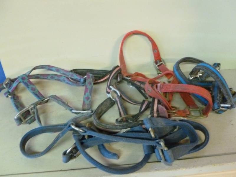 lot 53 image: Horse Equipment