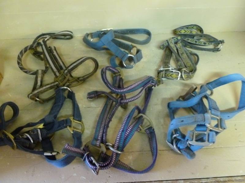 lot 55 image: Horse Equipment
