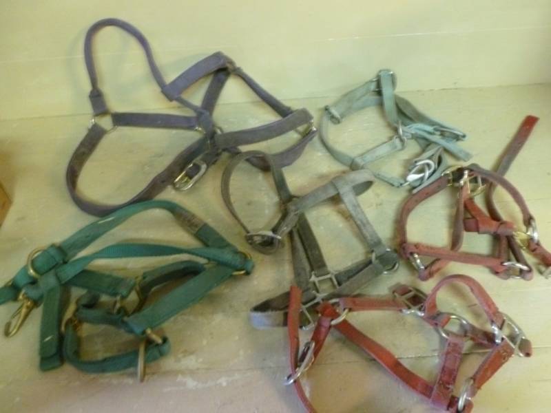 lot 56 image: Horse Equipment