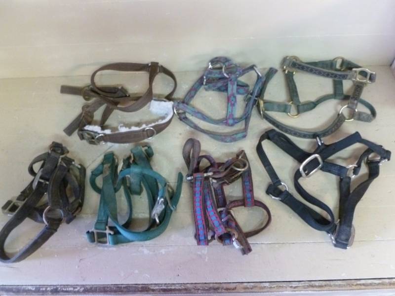 lot 59 image: Horse Equipment