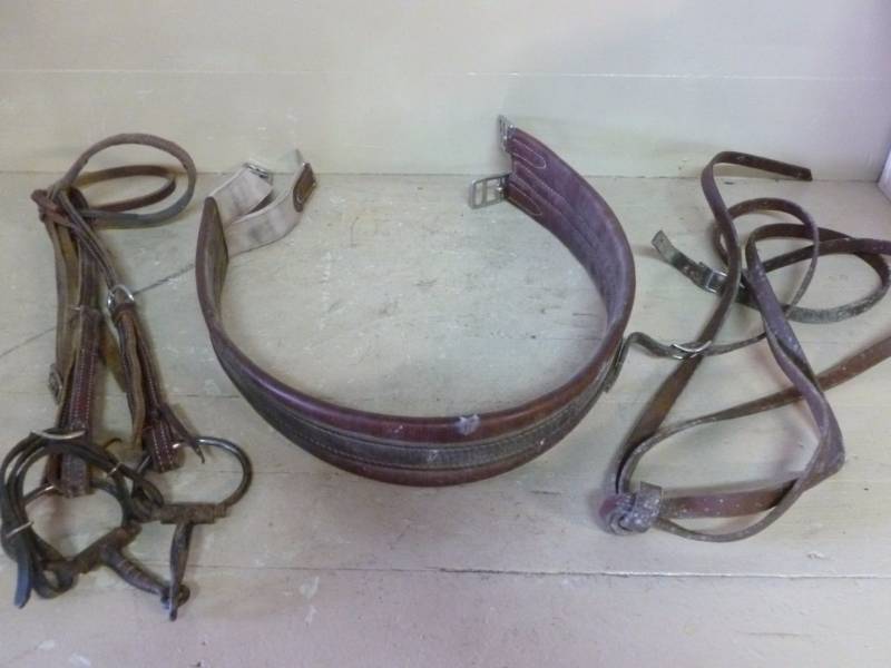 lot 62 image: Horse Equipment
