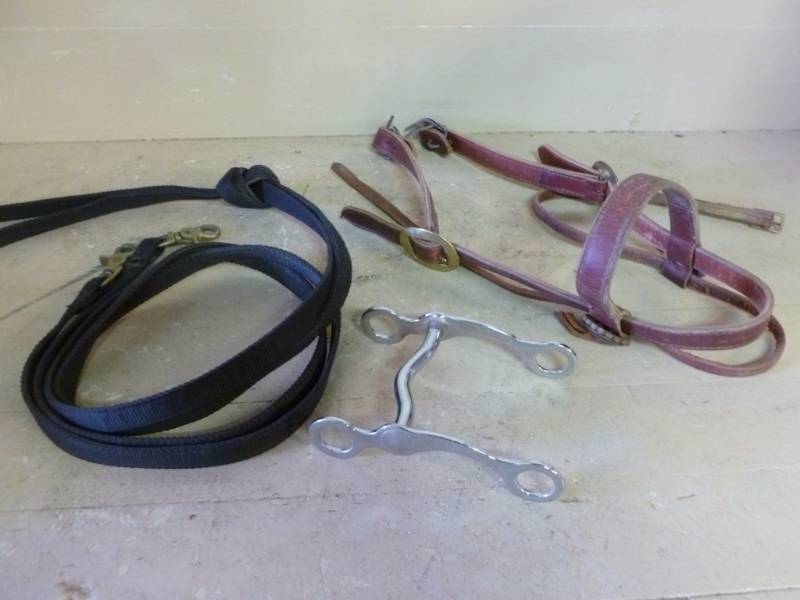lot 63 image: Horse Equipment