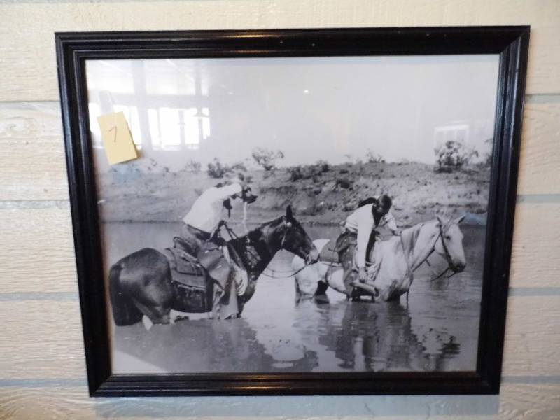 Horses in Water Picture