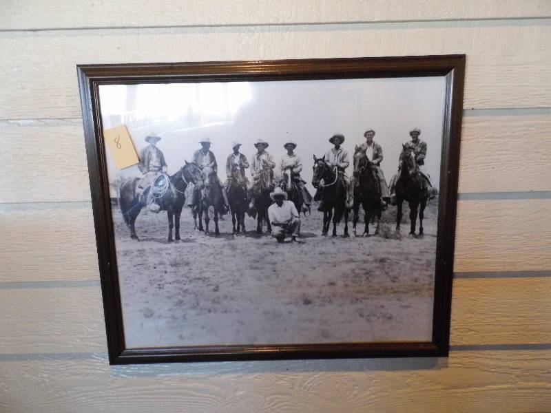 Horses Picture