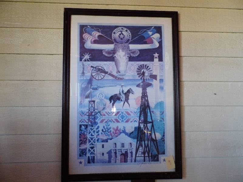 State of Texas Picture