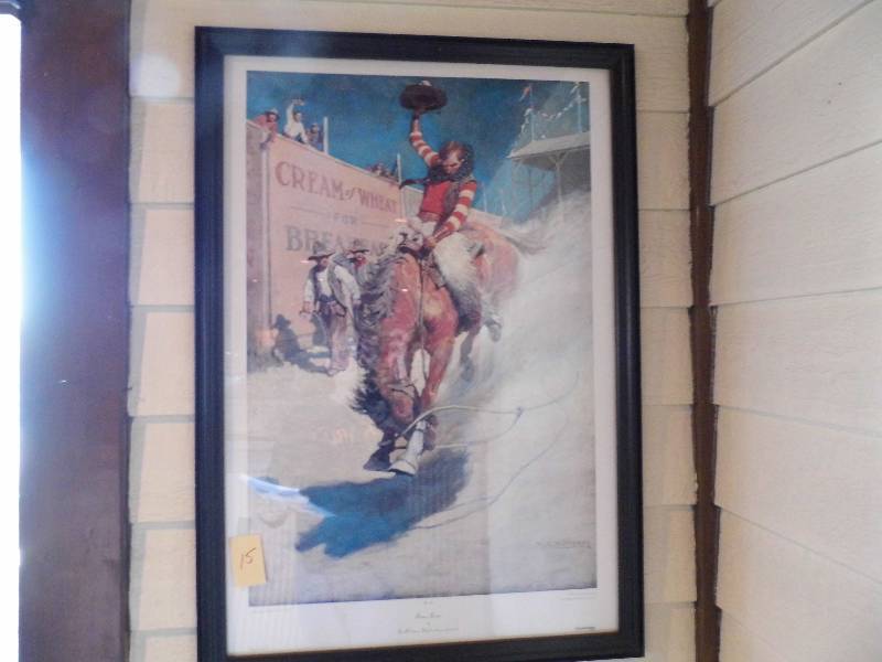 Bronco Buster Picture