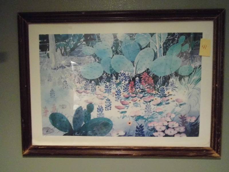 Cactus Picture