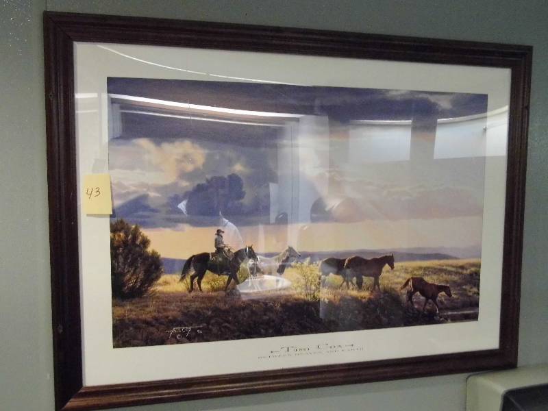 Tim Cox Picture