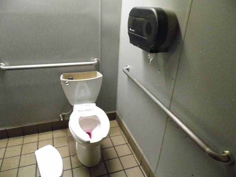 Toilet, Grab Bars, Tissue Dispenser