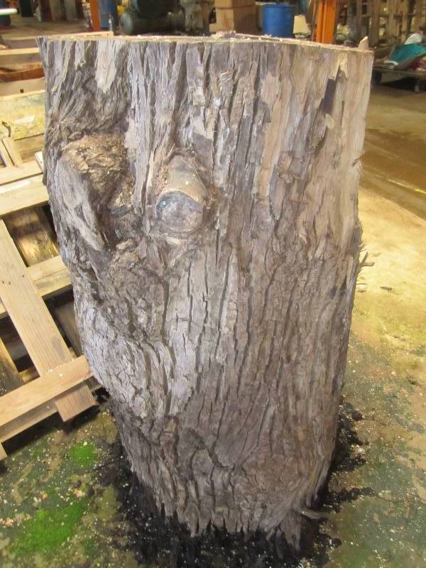 lot 64 image: Tree stump ready to carve, 8.5 aro...