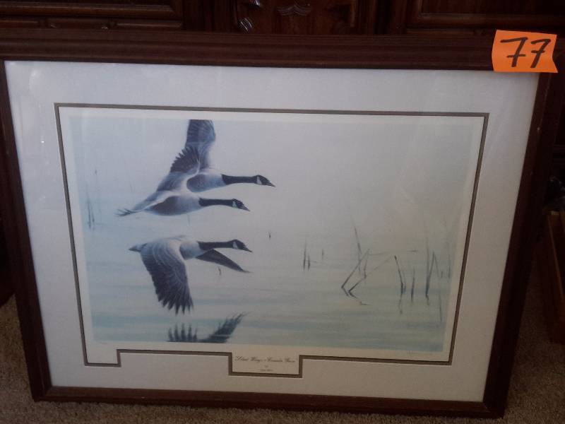Silent Wings, Canada Geese, by Gary Moss