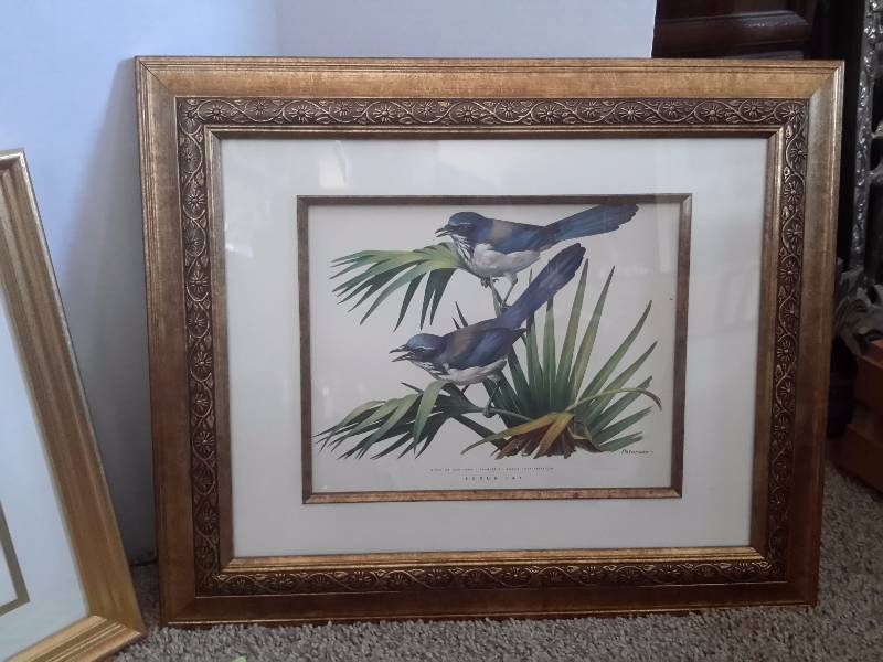 2 Nicely Framed Bird pictures.