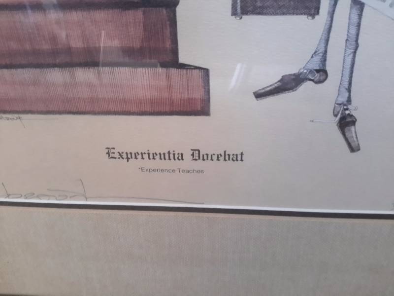 EXPERIENTIA DOCEBAT  (Experience Teaches)