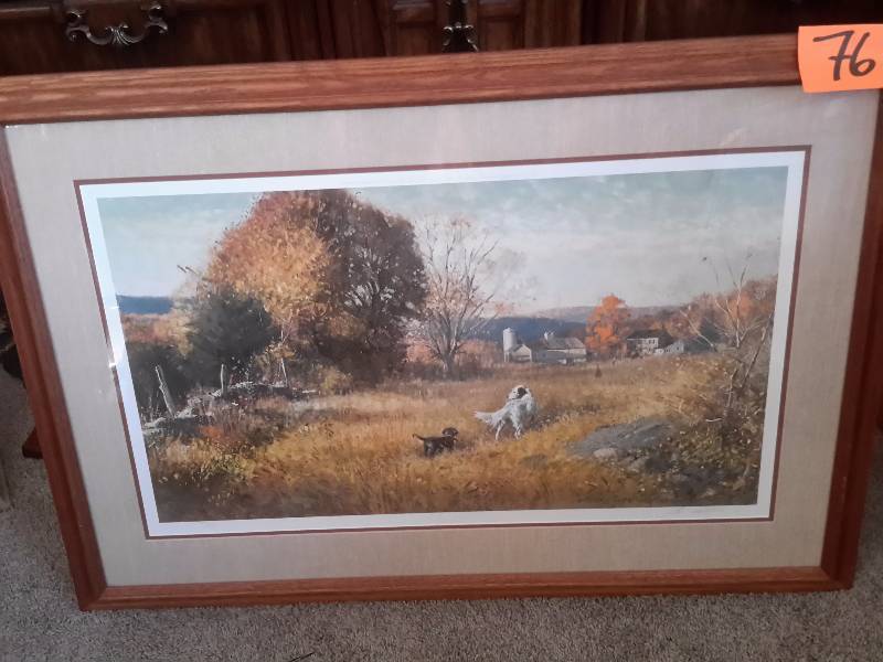 Hunting Dogs in the country