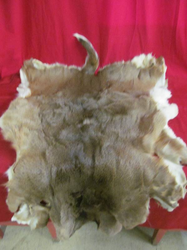lot 5 image: hide