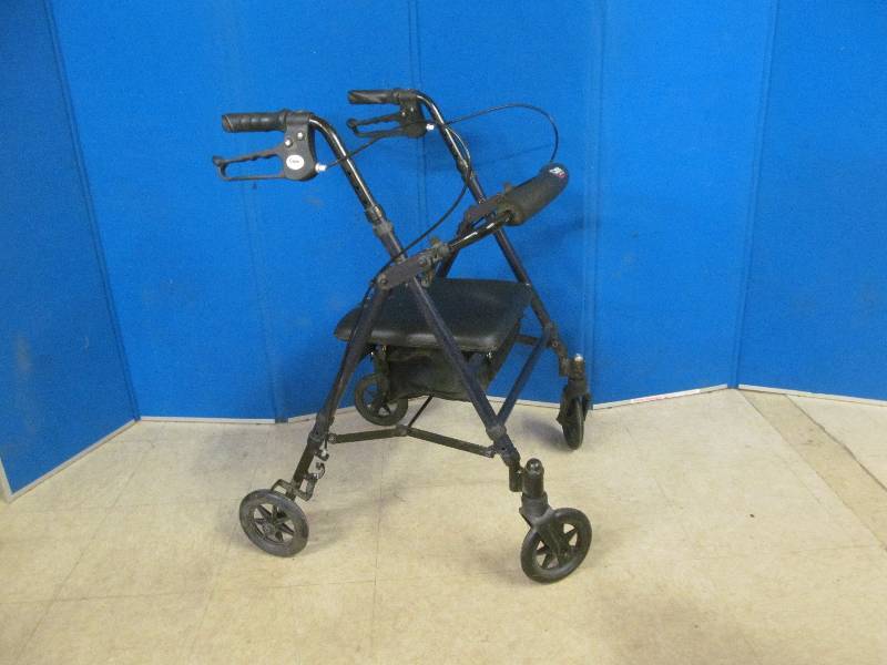 lot 29 image: Carex walker
