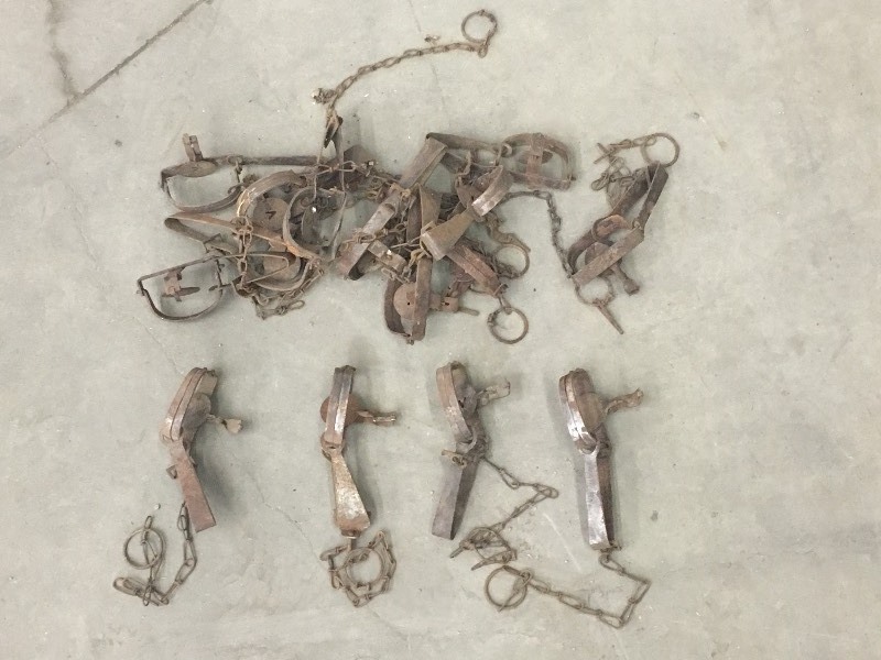lot 12 image: Lot Of Assorted Vintage Animal Trap...