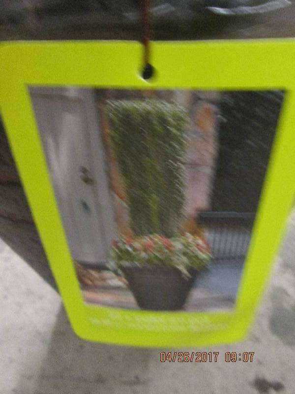 lot 199 image: new 22 inch petal rim flower pot ...