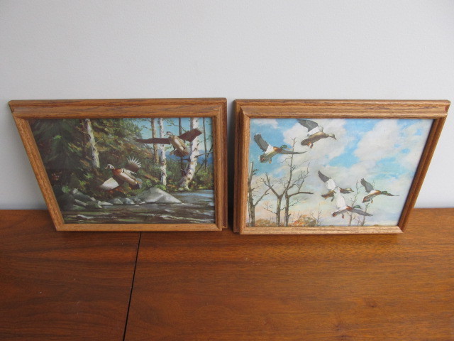lot 78 image: Framed Vintage Duck Prints
