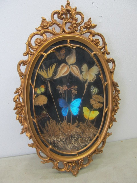 lot 113 image: Vintage REAL Butterfly Shadowbox Display