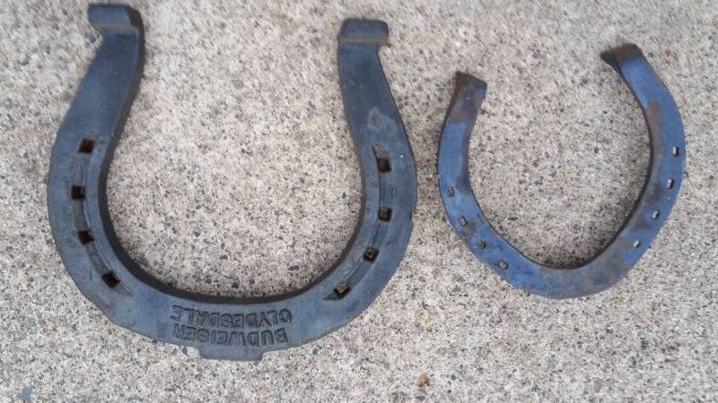 lot 36H image: Budweiser 50th Anniversary Clydesdale Horseshoe  Antique Horseshow