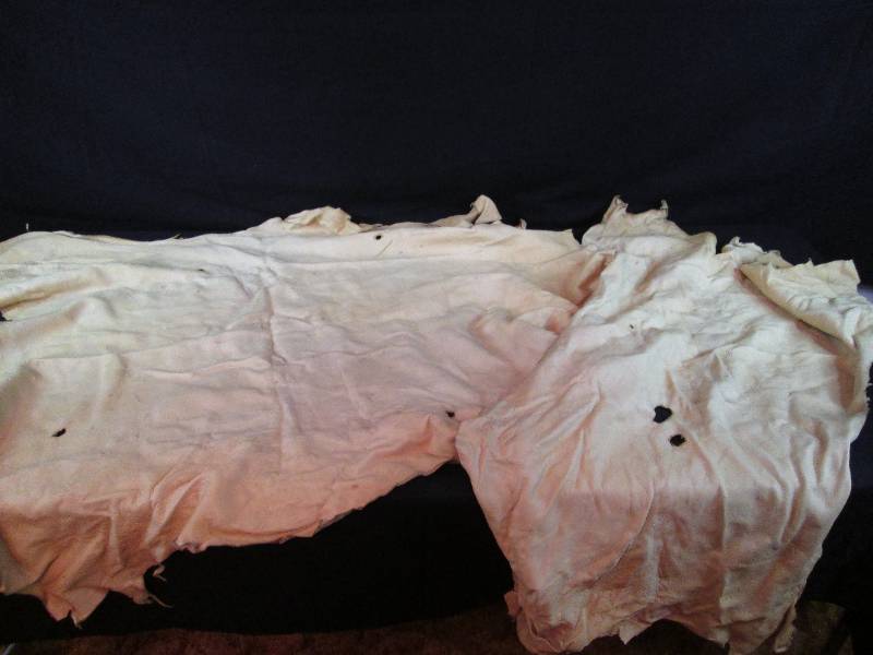lot 98B image: Buck Skin