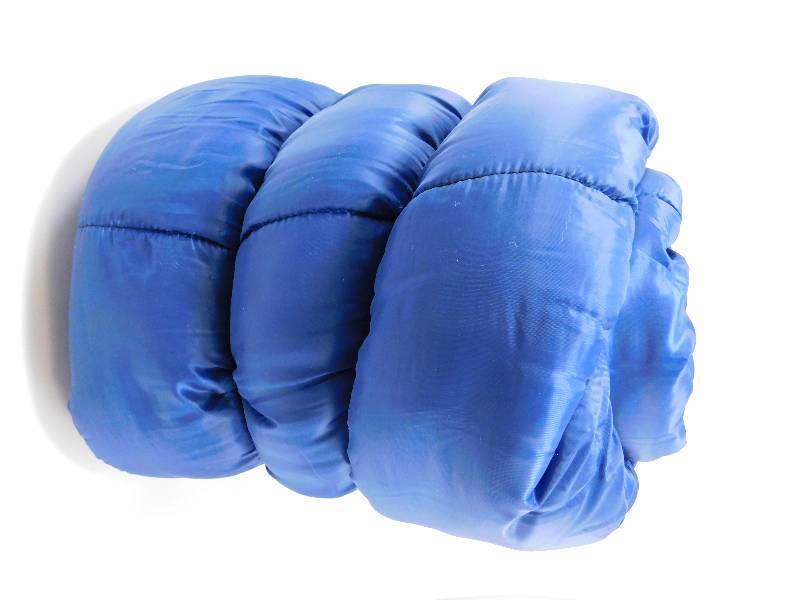 lot 16 image: 3 lb Sleeping Bag