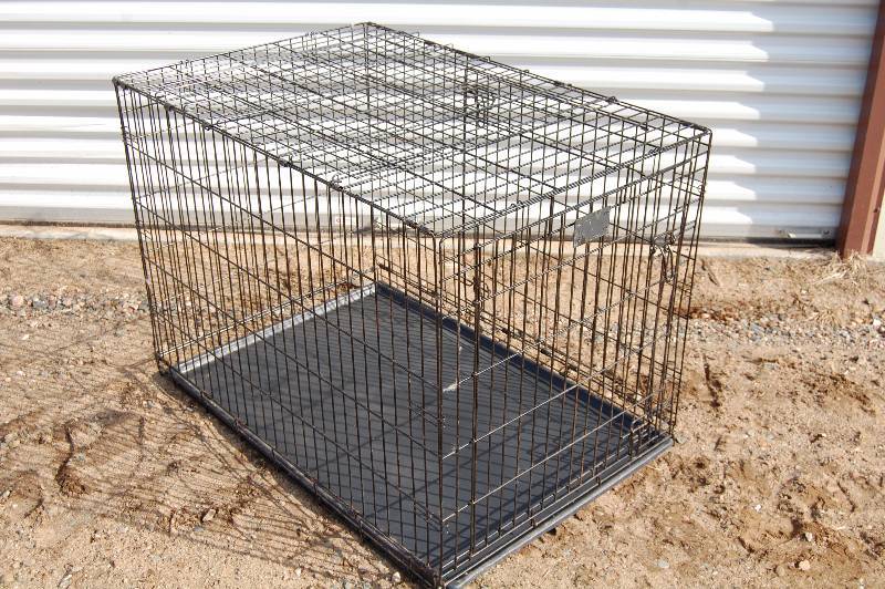 Dog Kennel