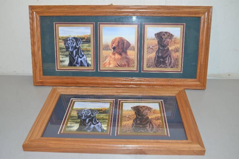 lot 136 image: Lab retriever pictures
