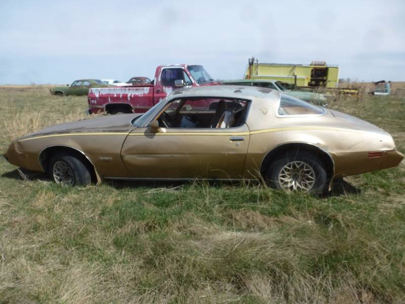 lot 95 image: 1980 Pontiac Fire Bird