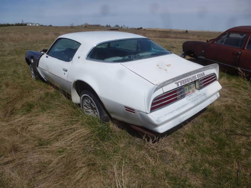lot 99 image: 1978 Pontiac Trans Am