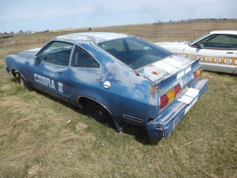 lot 52 image: 1976 Ford Mustang Cobra