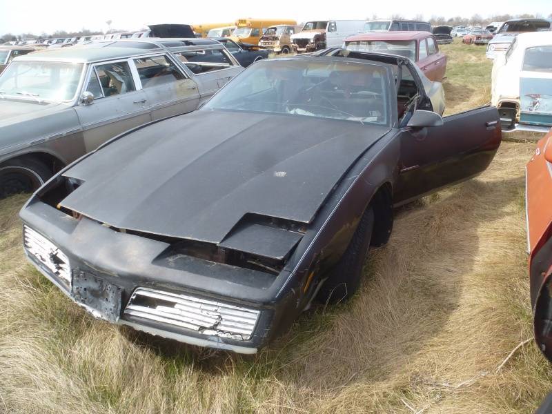 lot 132 image: 1980 Pontiac Firebird