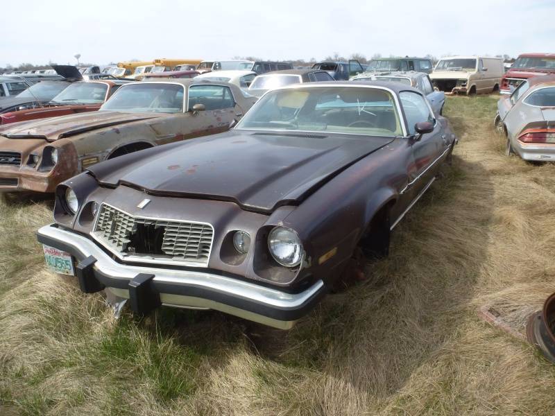 lot 135 image: 1977 Chevy Camaro LT