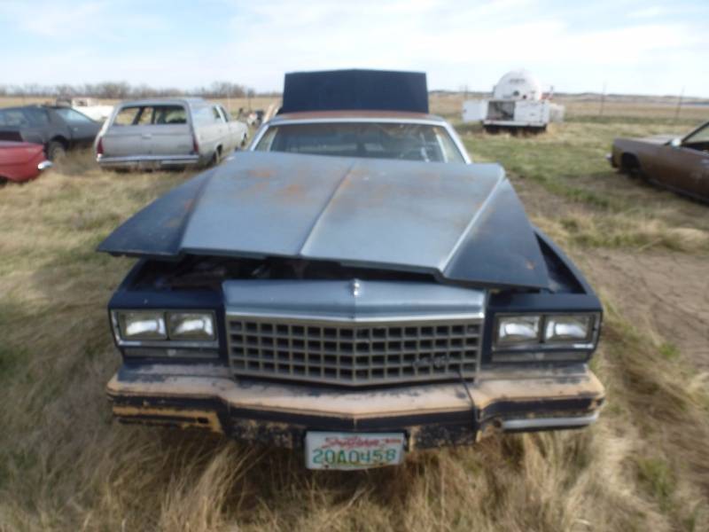 lot 182 image: 1979 Chevy Monte Carlo