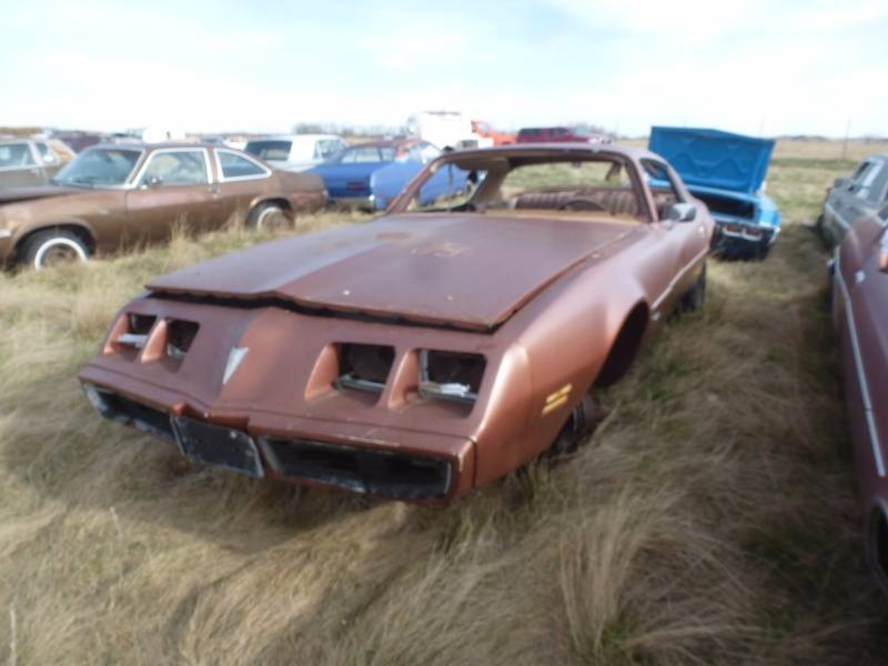 lot 186 image: 1980 Pontiac Firebird