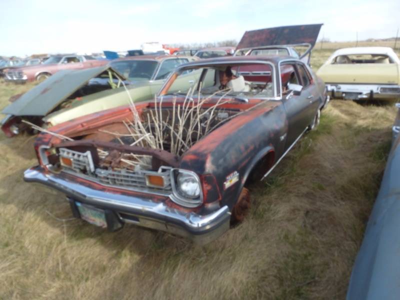 lot 199 image: 1974 Chevy Nova
