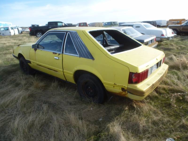 lot 230 image: 1979 Ford Mustang