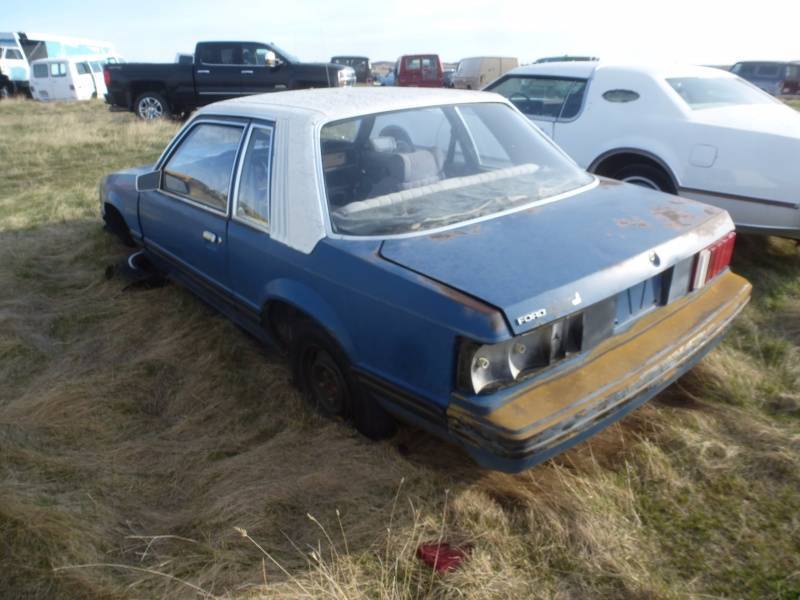 lot 231 image: 1979 Ford Mustang
