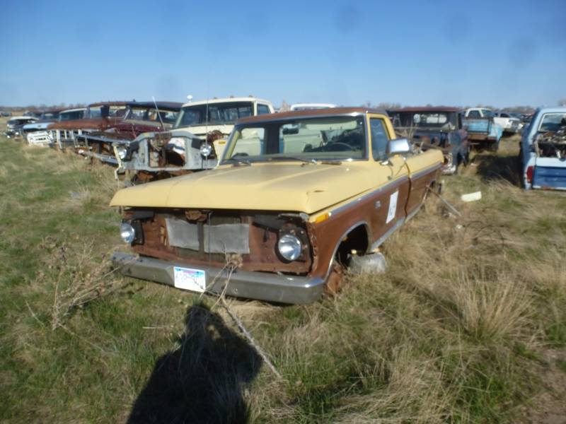 lot 260 image: 1974 Ford F100 2WD