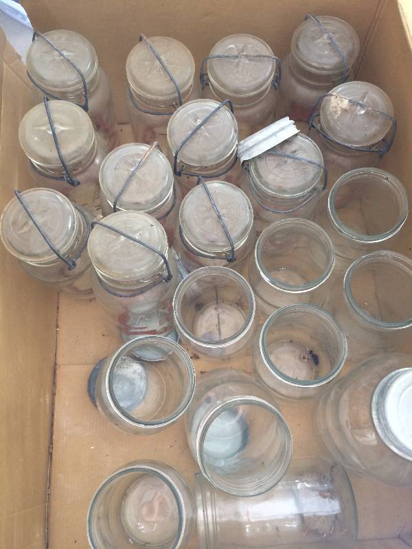 lot 79 image: Antique Canning Jars
