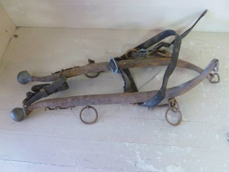 Antique Horse Equipment