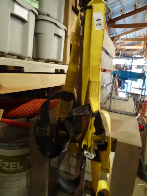lot 24 image: DBI sala fall harness. L2001. 310 l...