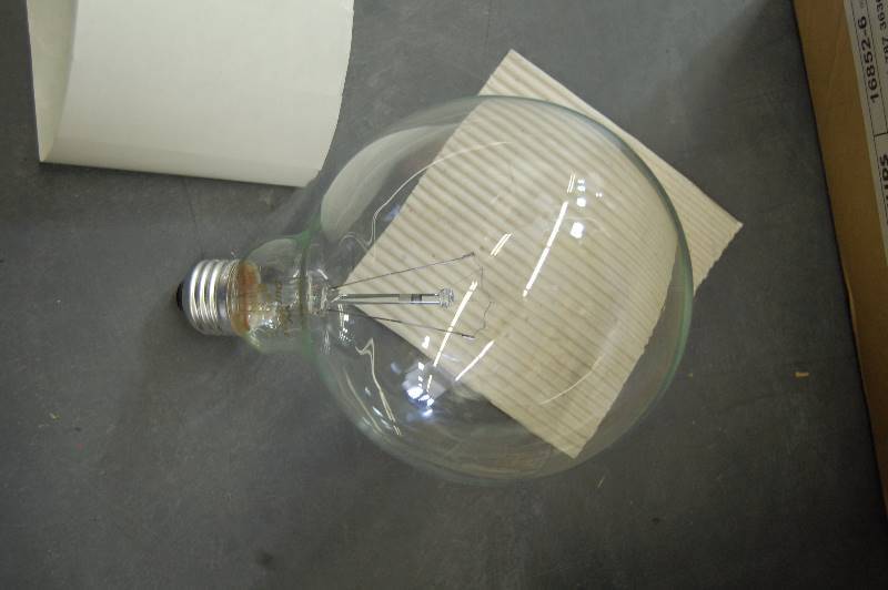lot 24 image: 60W Globe Light Bulbs Bulbs