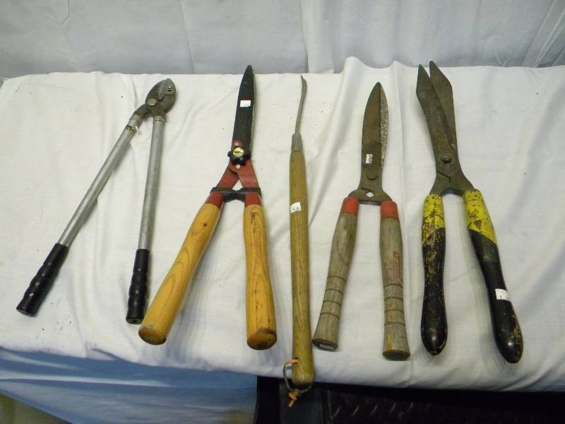 Lawn Care Lot